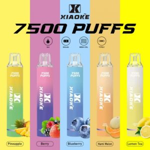 xiaoke逍客7500口拋棄式電子煙